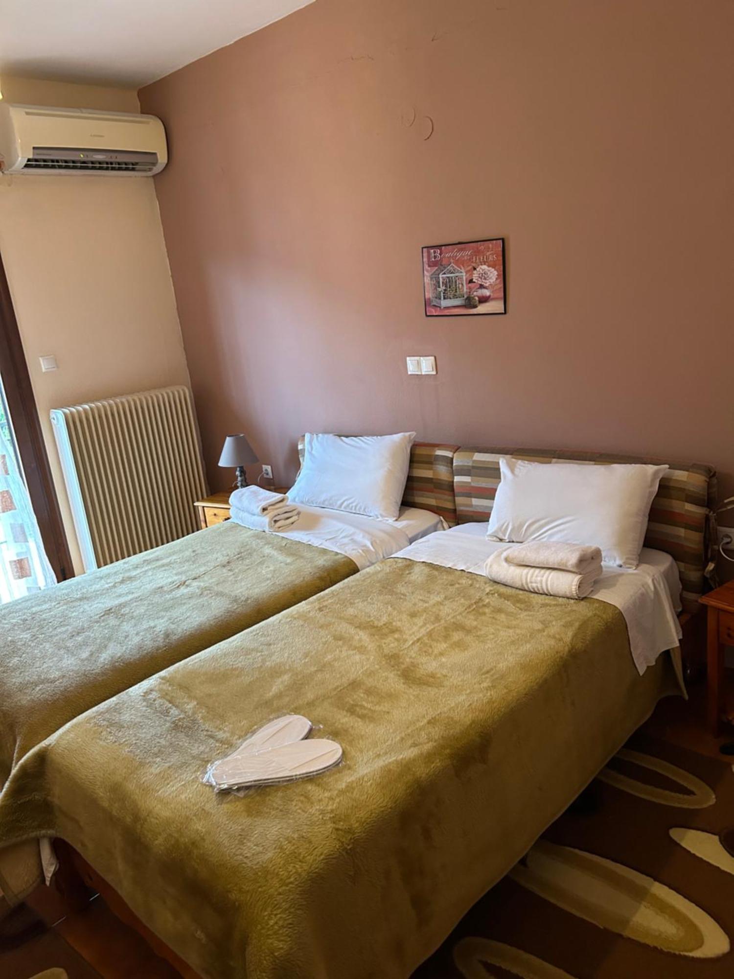 Hotel Aoos Konitsa Eksteriør billede
